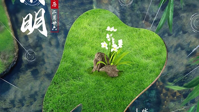 冷光美白与皓齿美白：技术参数深度解析
